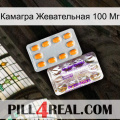 Камагра Жевательная 100 Мг new12